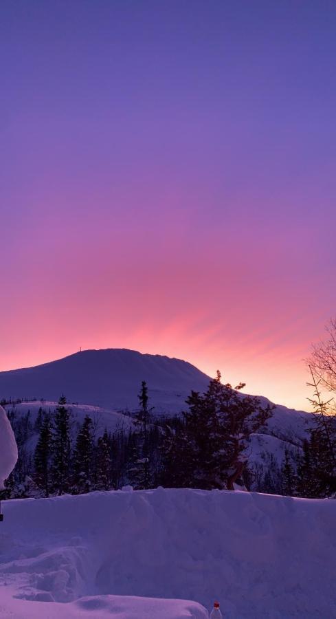 Gaustablikk Sportshytte Midt I Naturen Rjukan Exterior photo